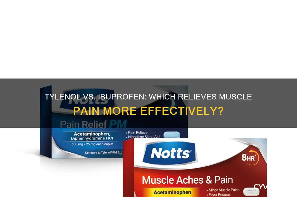 does tylenol or ibuprofen work better for muscle pain