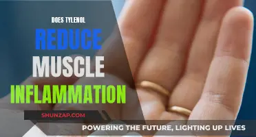Tylenol's Impact on Muscle Inflammation: What You Need to Know
