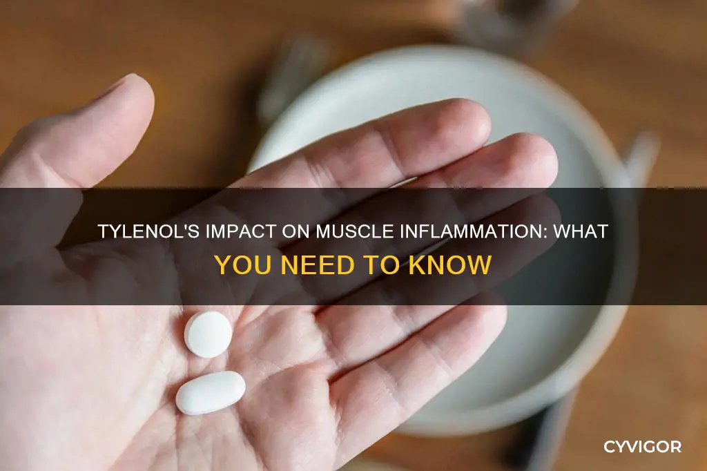 does tylenol reduce muscle inflammation