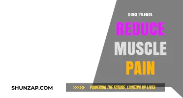 Can Tylenol Effectively Relieve Muscle Pain? What Research Shows