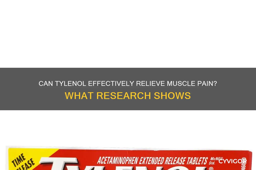 does tylenol reduce muscle pain