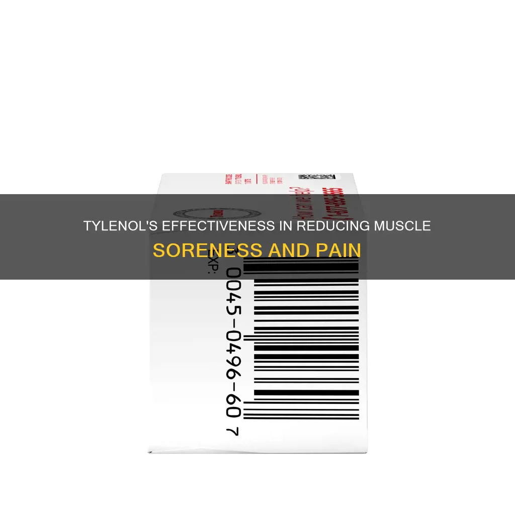 does tylenol relieve muscle soreness