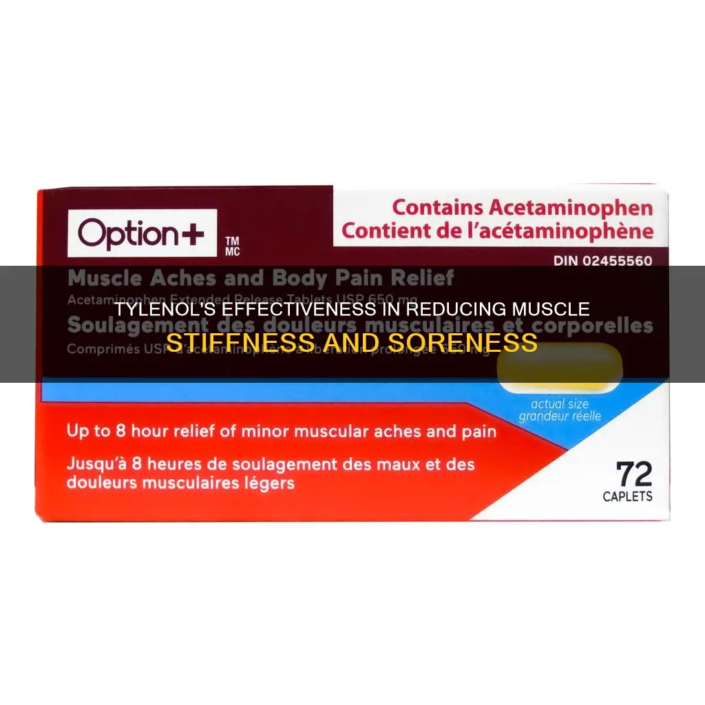 does tylenol relieve muscle stiffness