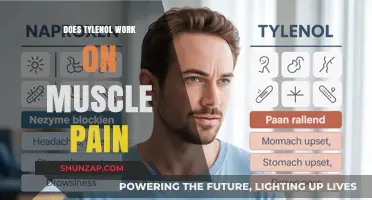 Does Tylenol Relieve Muscle Pain? Exploring Its Effectiveness and Uses