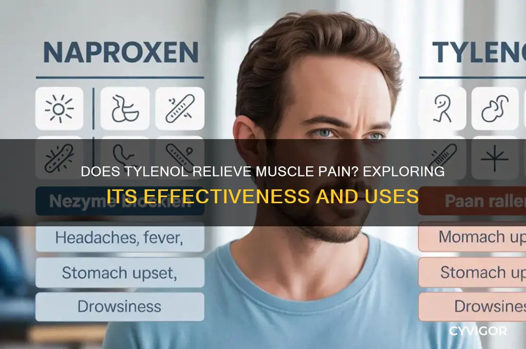 does tylenol work on muscle pain