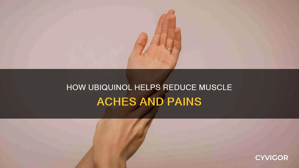 does ubiquinol reduce muscle aches