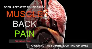 Ulcerative Colitis: Can It Cause Back Muscle Pain?