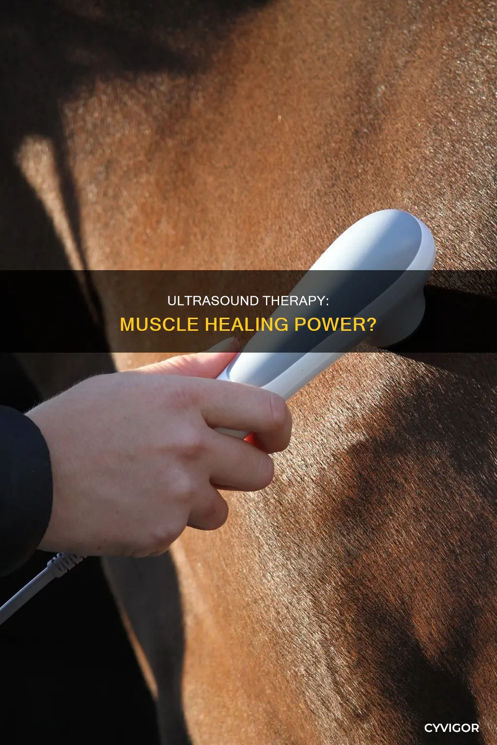 does ultrasound heal muscles