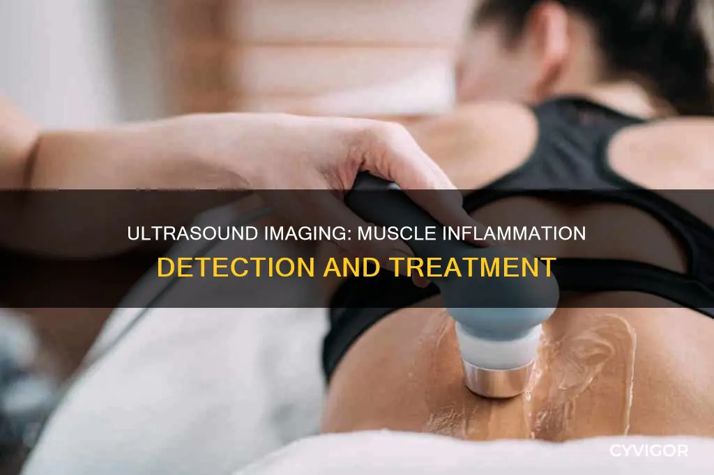 does ultrasound show muscle inflammation