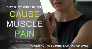 Thyroid-Related Muscle Pain: What You Need to Know
