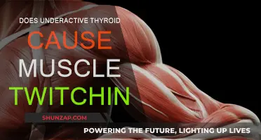 Thyroid and Muscle Twitching: What's the Link?