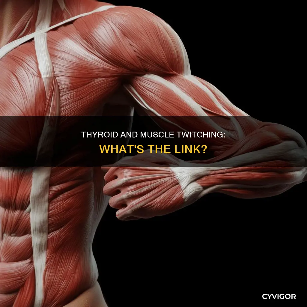 does underactive thyroid cause muscle twitching