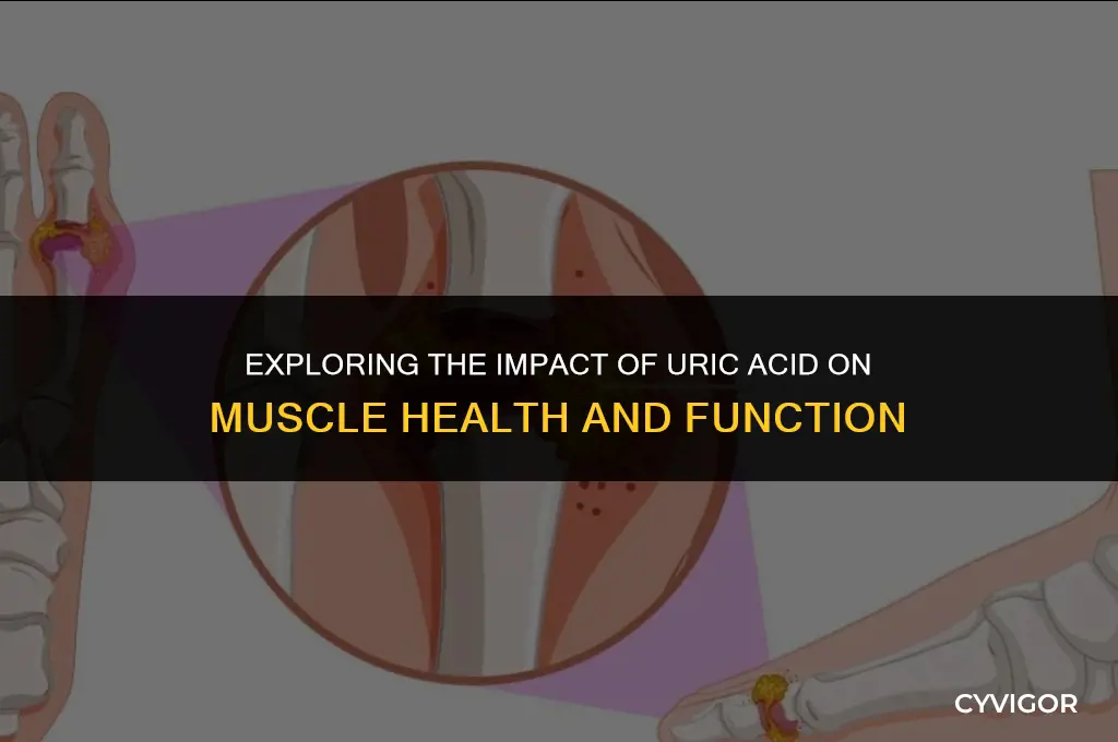 does uric acid affect muscles