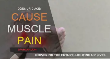 Uric Acid and Muscle Pain: Is There a Link?