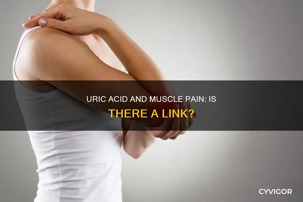 does uric acid cause muscle pain