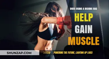 Boxing Bag Workouts: Effective for Muscle Gain and Strength?