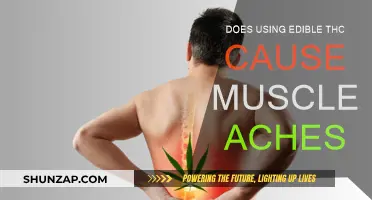 THC Edibles: Muscle Aches and Pains Explained