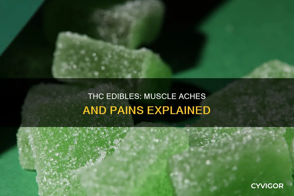 does using edible thc cause muscle aches