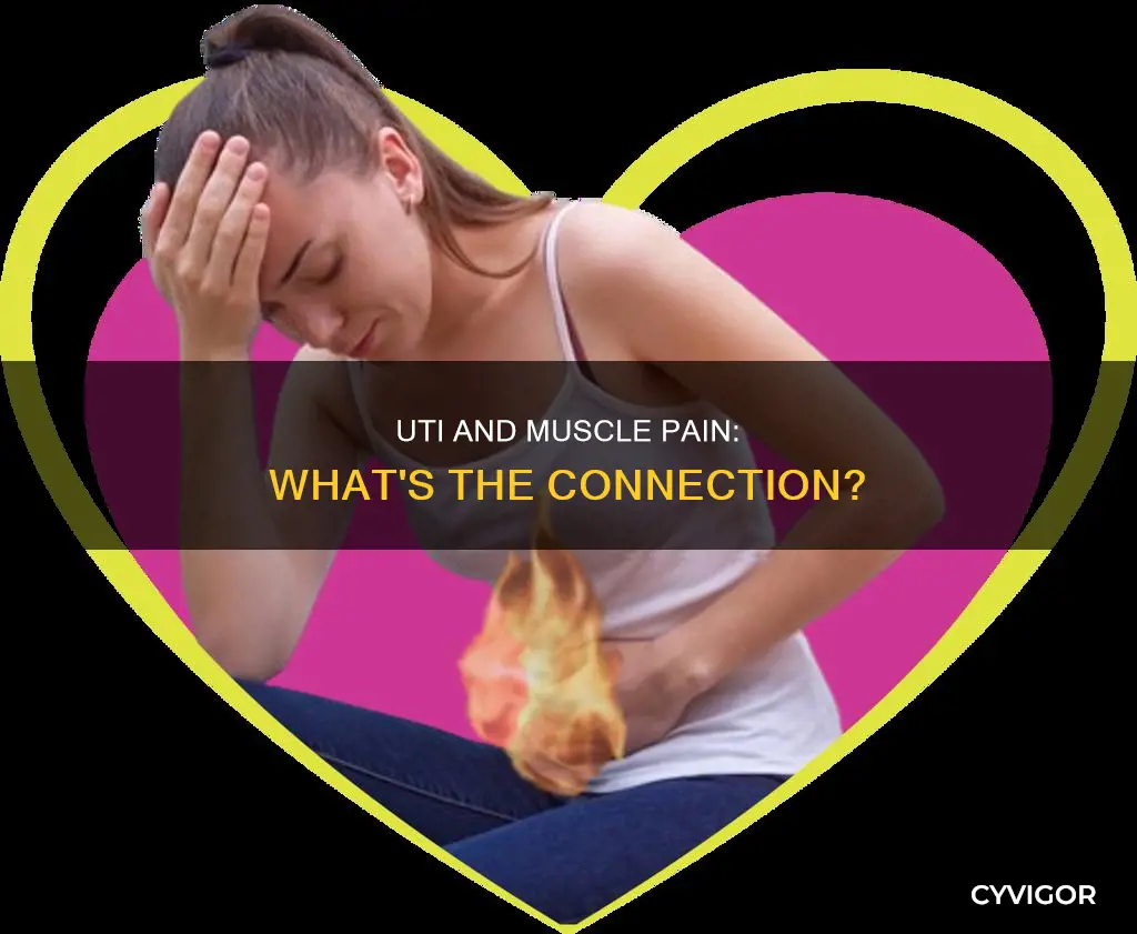 does uti cause muscle pain