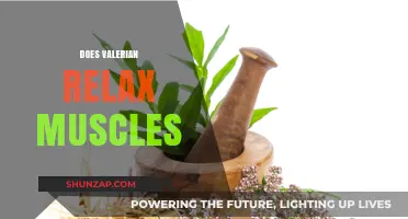 Valerian Root: Natural Muscle Relaxant or Myth? Uncover the Truth