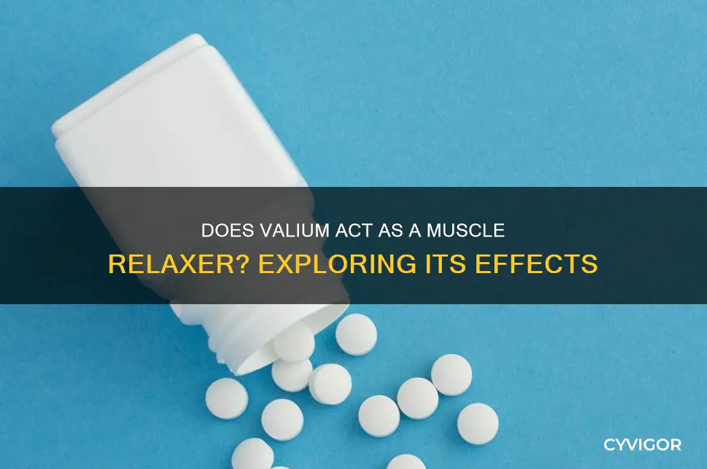 does valium act as a muscle relaxer