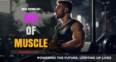 Debunking Myths: Vaping and Its Impact on Muscle Health