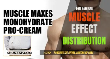 Vascular Muscle and Distribution: What's the Connection?
