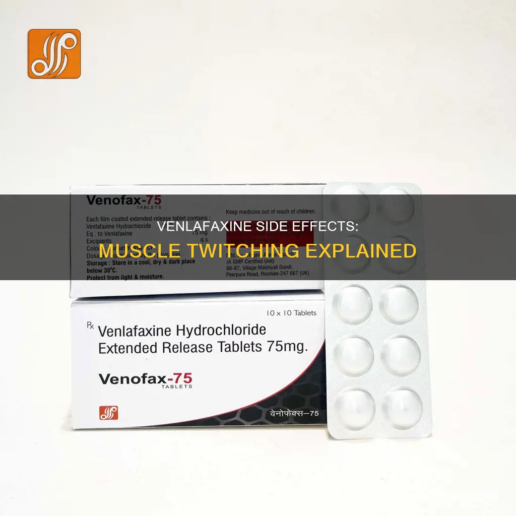does venlafaxine cause muscle twitches