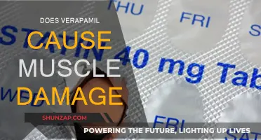 Verapamil's Muscular Impact: Damage or Not?