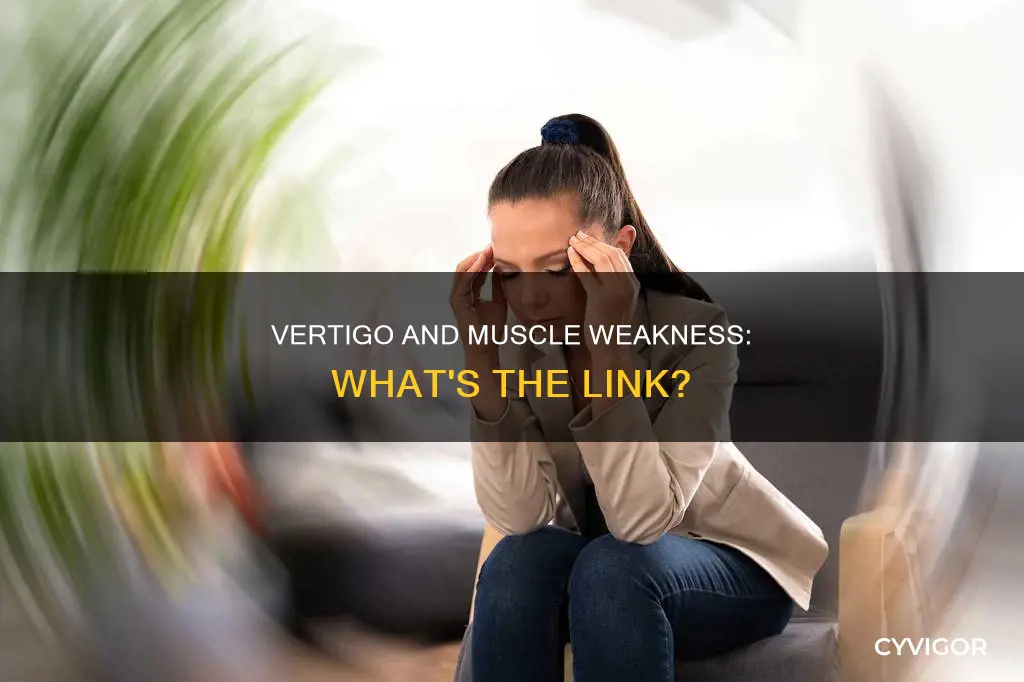 does vertigo cause muscle weakness