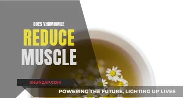 Chamomile's Surprising Effect on Muscle Relaxation and Recovery