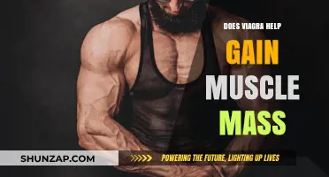Can Viagra Boost Muscle Growth? Exploring the Science and Myths