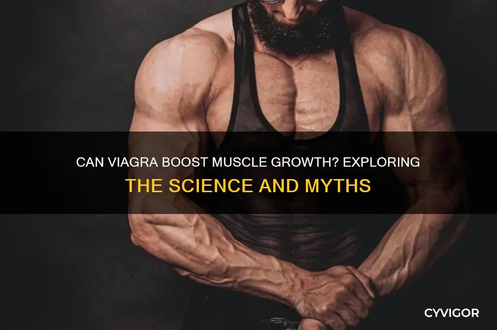 does viagra help gain muscle mass