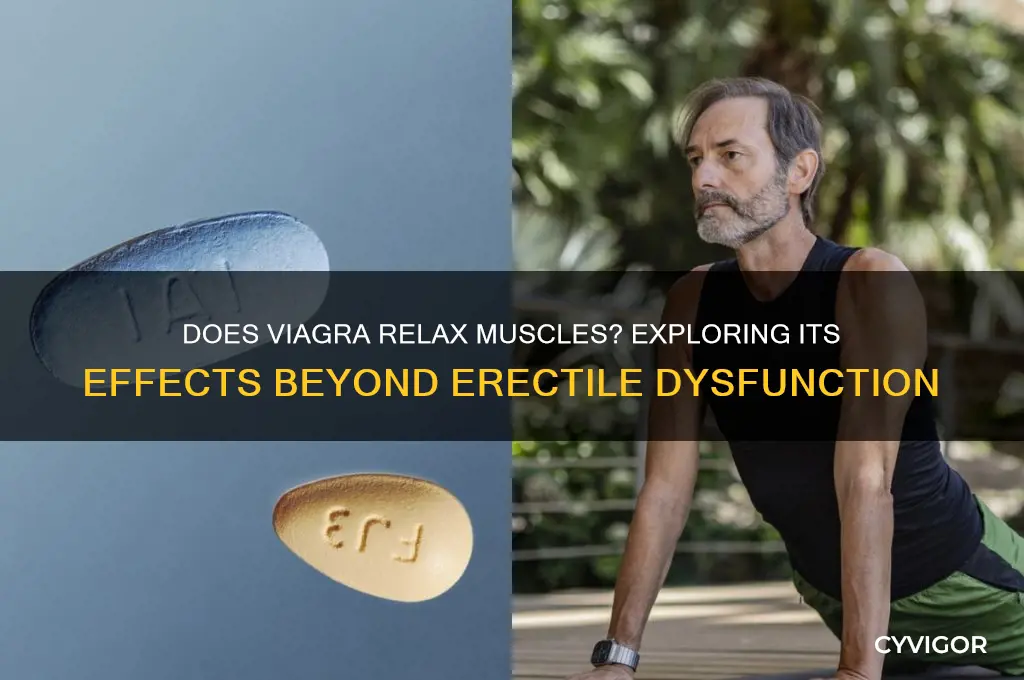 does viagra relax muscles