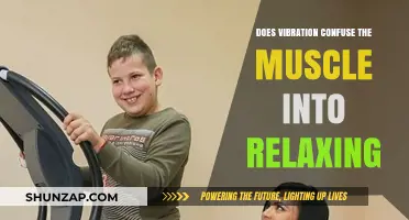 Vibration Therapy: Can It Trick Muscles into Relaxation?