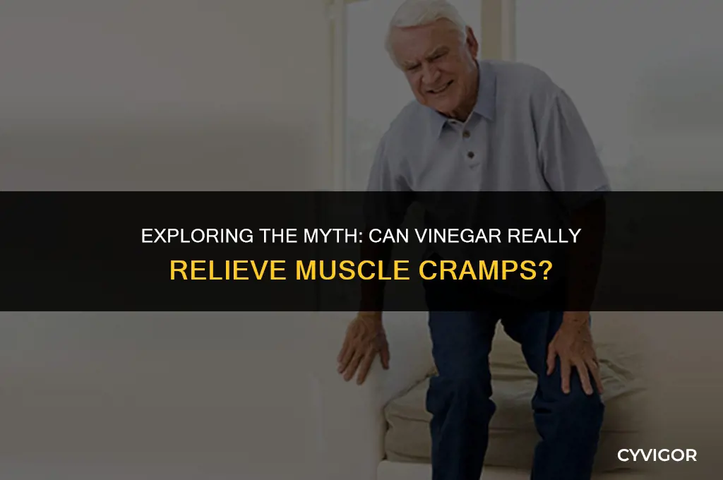 does vinegar relieve muscle cramps
