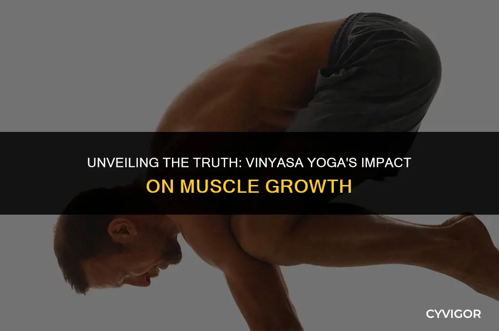 does vinyasa yoga build muscle