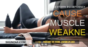Vitamin B12 Deficiency: Can It Weaken Your Muscles?