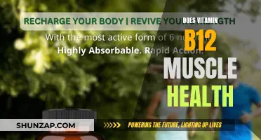 Vitamin B12: Supercharging Muscle Health and Performance