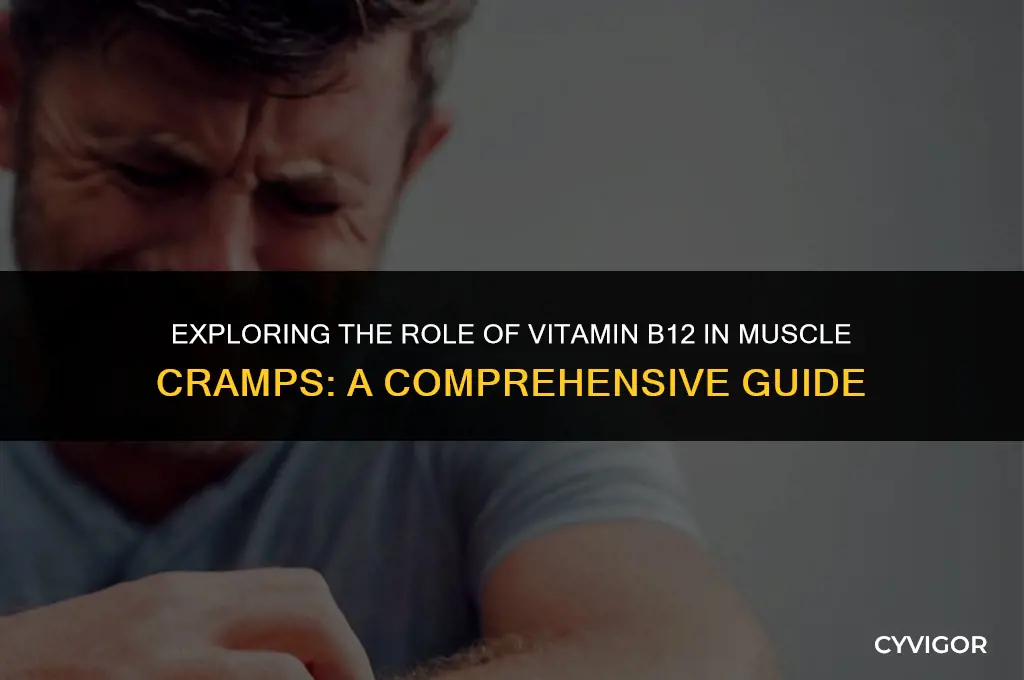 does vitamin b12 play a part in muscle cramps
