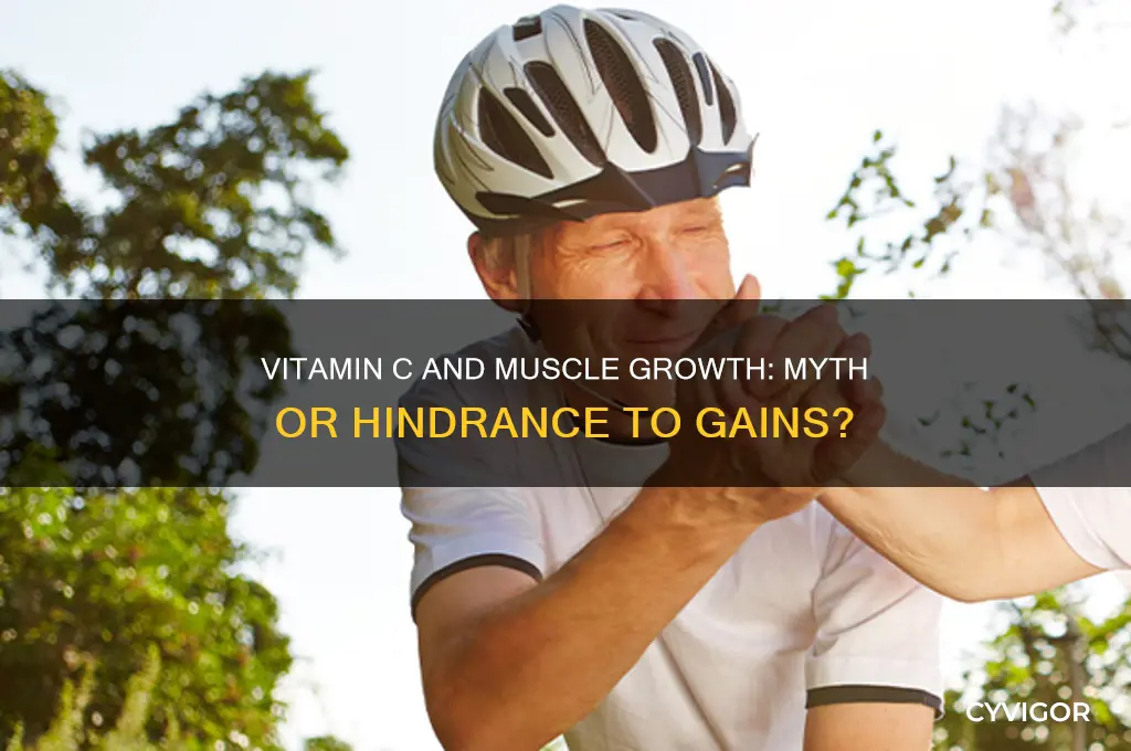 does vitamin c prevent muscle gains