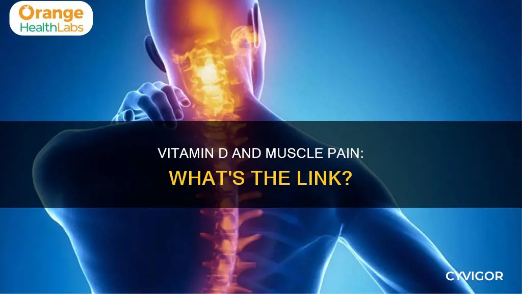 does vitamin d cause muscle pain