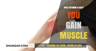 Vitamin D and Muscle Growth: Unlocking Strength and Fitness Potential