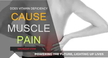 Vitamin Deficiency: A Cause of Muscle Pain?