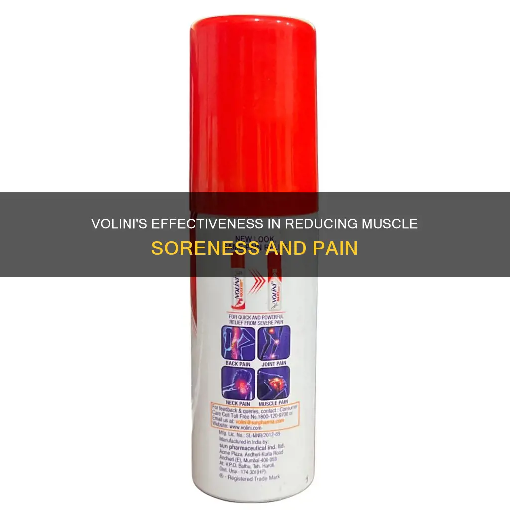 does volini reduce muscle soreness