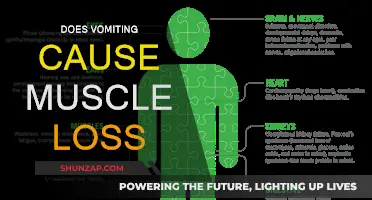 Vomiting's Impact: Muscle Loss and Recovery