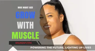 Does Muscle Gain Increase Waist Size? Facts and Myths Explained
