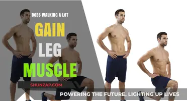 Walking for Muscle Growth: Can It Build Stronger Legs?