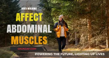 Unveiling the Truth: Walking's Impact on Your Abdominal Muscles