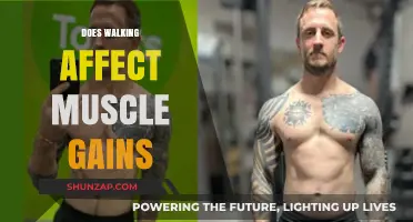 Walking and Muscle Growth: Does Striding Impact Your Gains?
